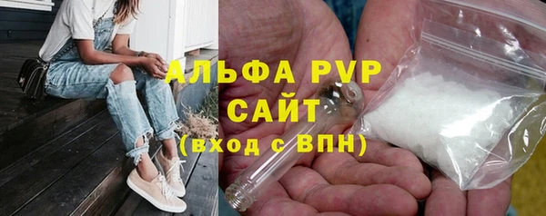 молекула духа Инсар